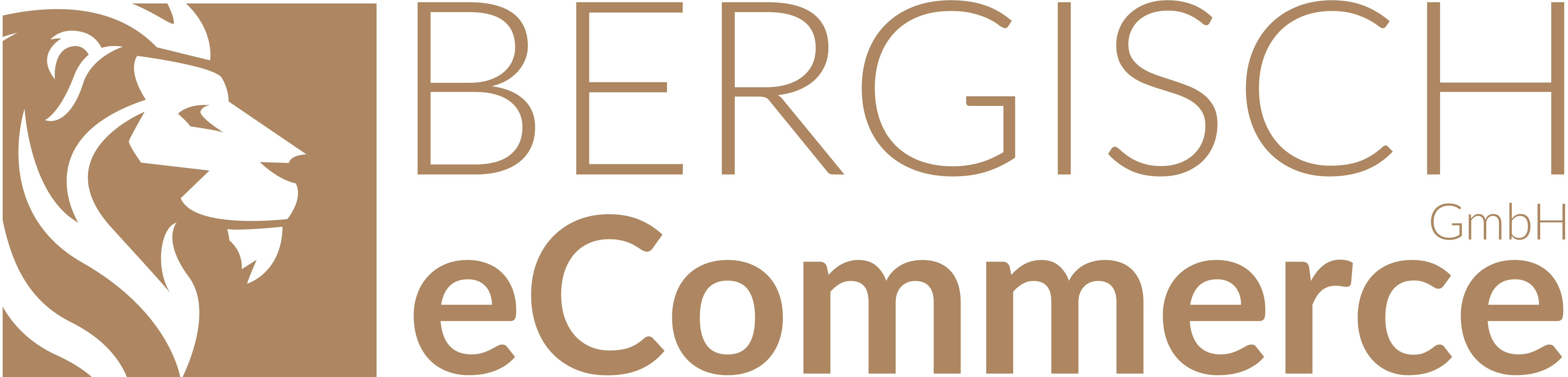 Bergisch eCommerce Bergisch eCommerce
